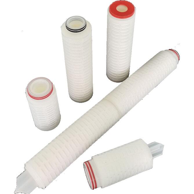 GFPϵЏͺĤVо ۯBʽVоb