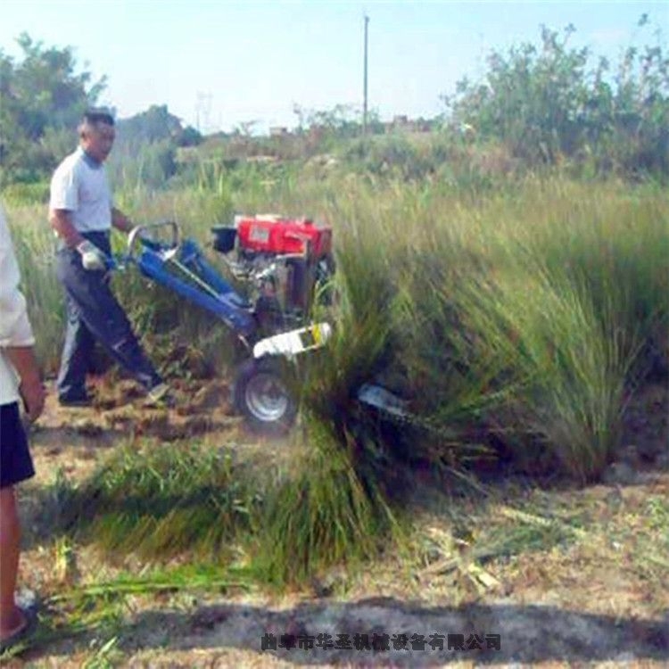 rINֲնոCNֲոC ݌ոC A