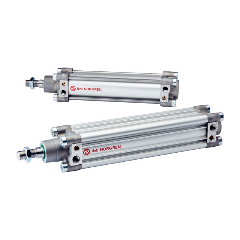 ZNORGRENURA/802050/M/50