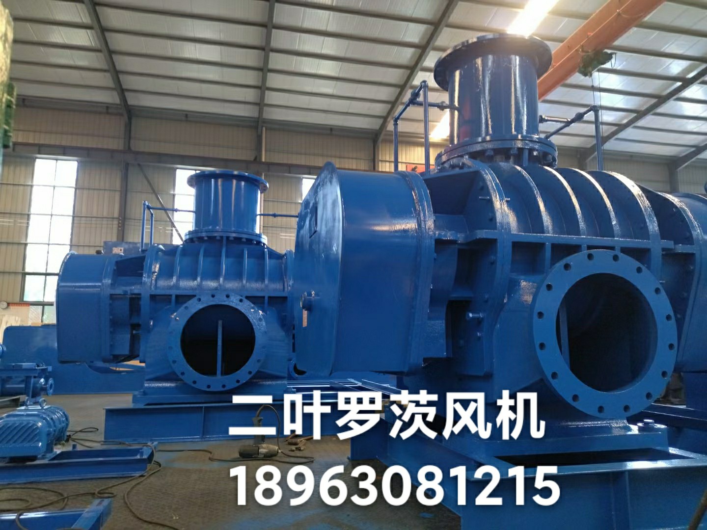 {Ƃ켈ӡˢṩ՚UfLC