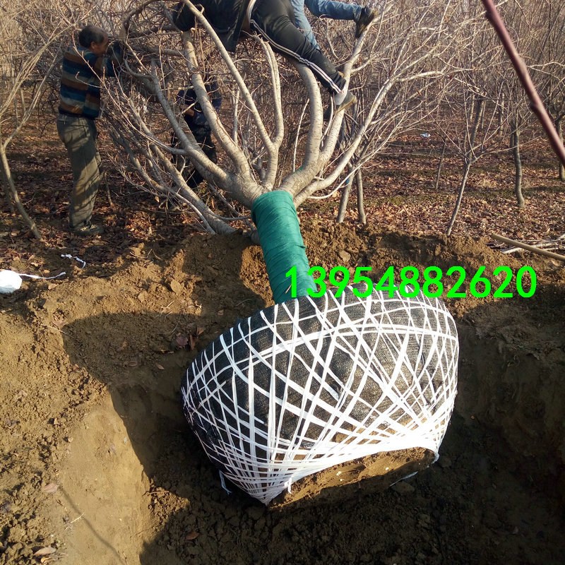 20֙ѻ,22֙ѻ,24֙ѻ,25֙ѻ