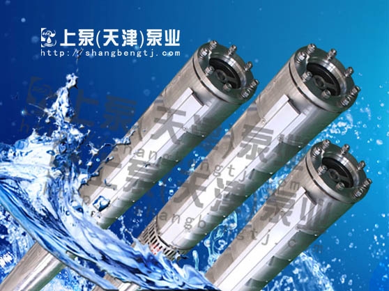 ͸gʽ200QH40-455/35-P䓝ˮÏSҹ