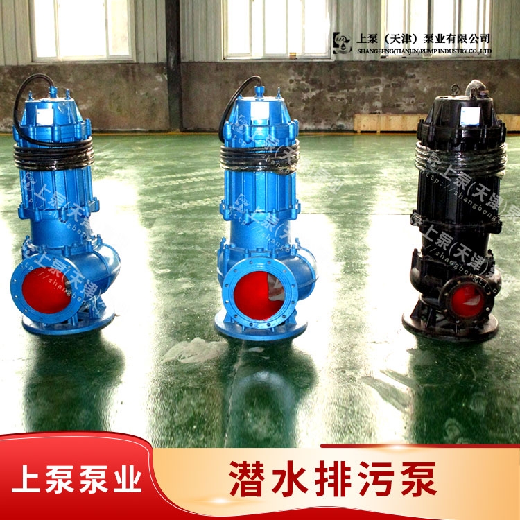 ϱñØIˮ̎SˮԄӔˮ۱400WQ1500-10-75