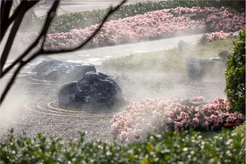 ɽ쾰ɽʯ lɫ^ʯ ɽʯS