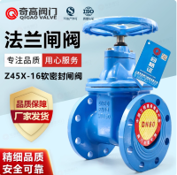 lyyTZ45X-16Qmܛܷ˷yDN50-DN300_Py