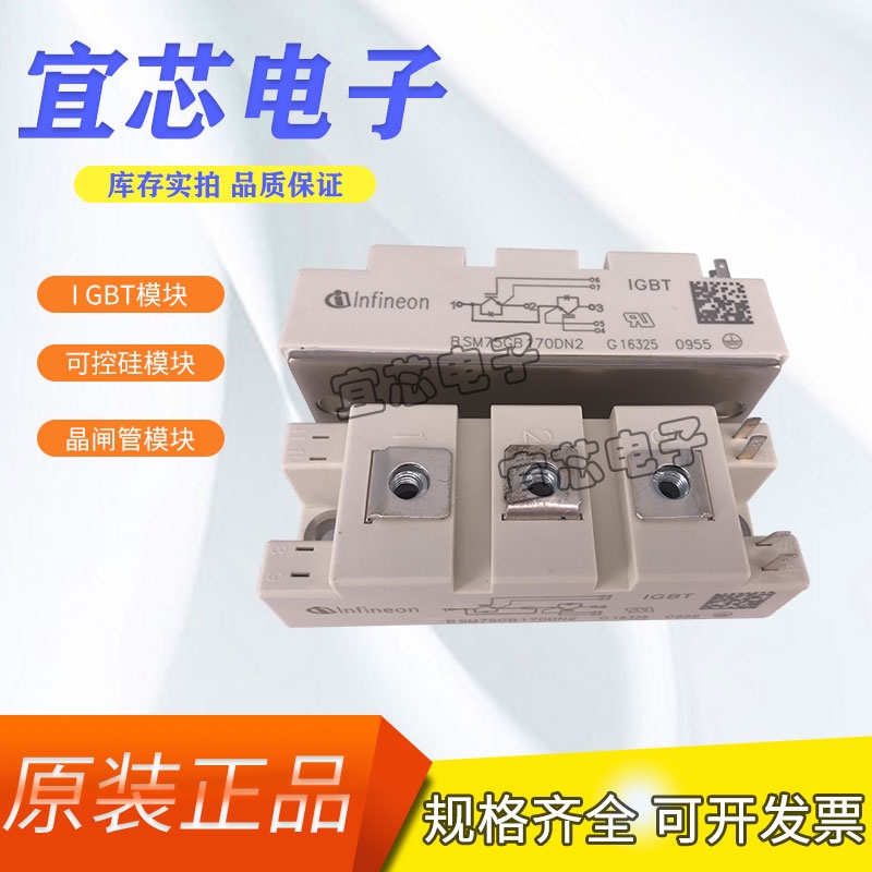 ӢwIGBTģKBSM75GB170DN2F؛