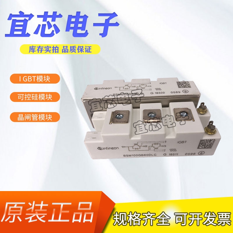 ӢwIGBTģKBSM100GB60DLCF؛