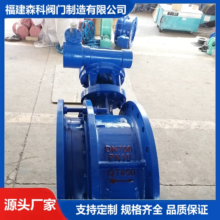 sy smy SD342X-16Q DN700 ɭyTS