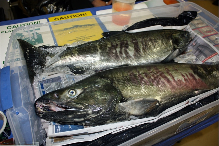 hR~lԒR~lrKｭR~r