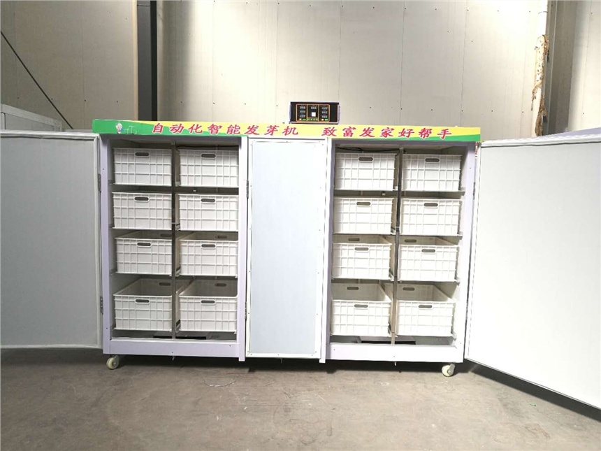 Ԅӿ؜ضѿC   ͏döѿC   SGѿC