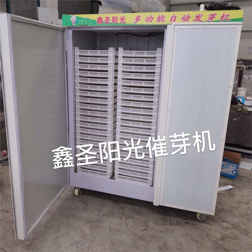 ѿˌðlѿC    ԄˮlѿC