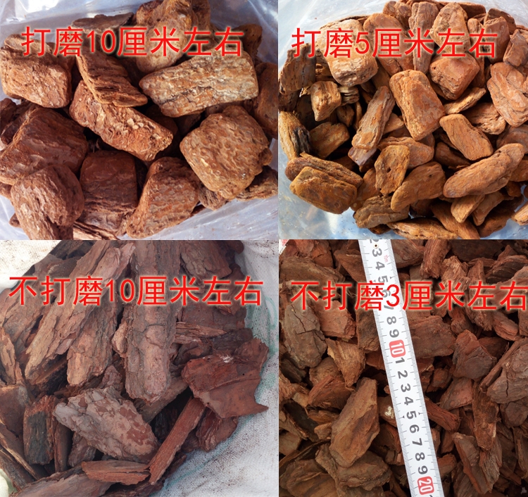 ɘƤmBֲɘƤSҹ؛r ă