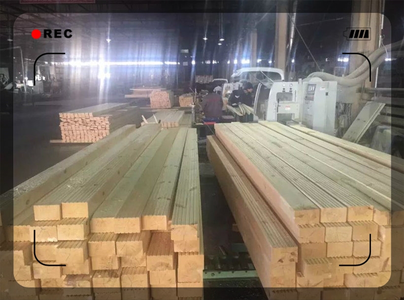 ׳ǷľذS  _˹ɰľӹS