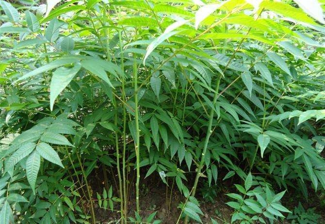 0.5㴻ăr  ̩ɽt㴻 FڬFu