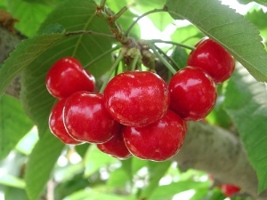 ̩_ÓҘ/ï܊ľsell/_˹8̖