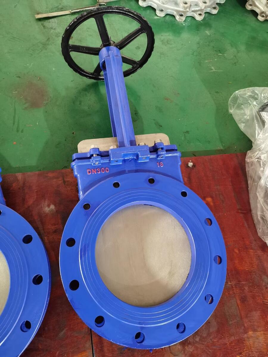 ɽ؅^VCOͿy̫¿ɭDQOFă