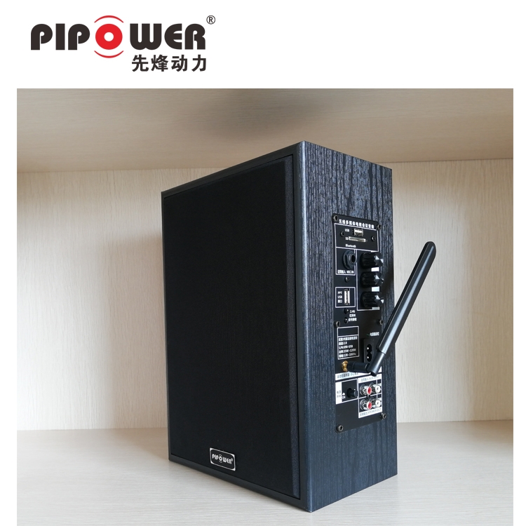 ϺpipowerhIPWjVk̎S˾IPWjڒ