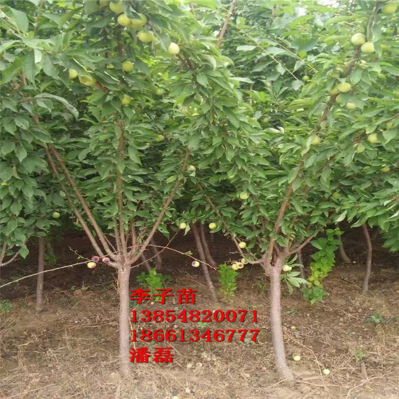 3ӘXһá3ַӘXһ3ַӘr