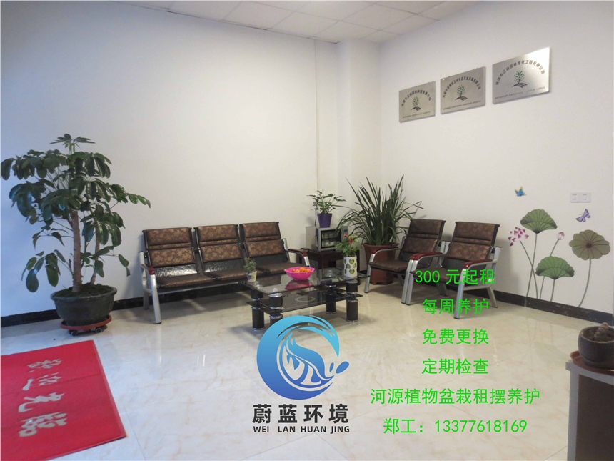 ԴС^ԃr Դε{GֲhG޹˾