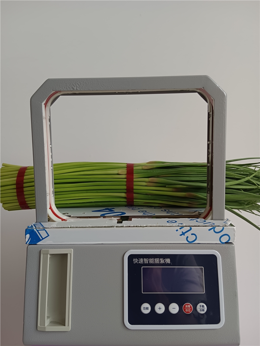 СoppC ߲C  ȫԄˎ c ƬљC