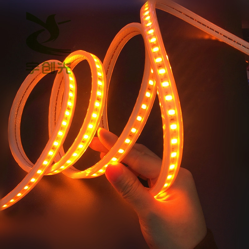 lled߲b؟l48V̌ÆLEDS׹l