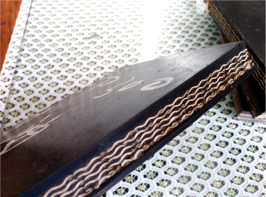 ݔ͎B1000͸g֌ӎEP200 ͸ߜݔ͎