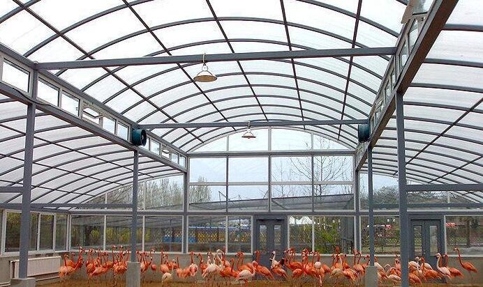 ꖹ pꖹ пꖹ ꖹSֱN