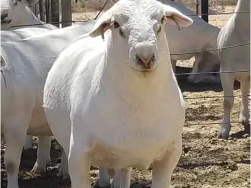 ɽhͰްBֳpwͰް׷Nr