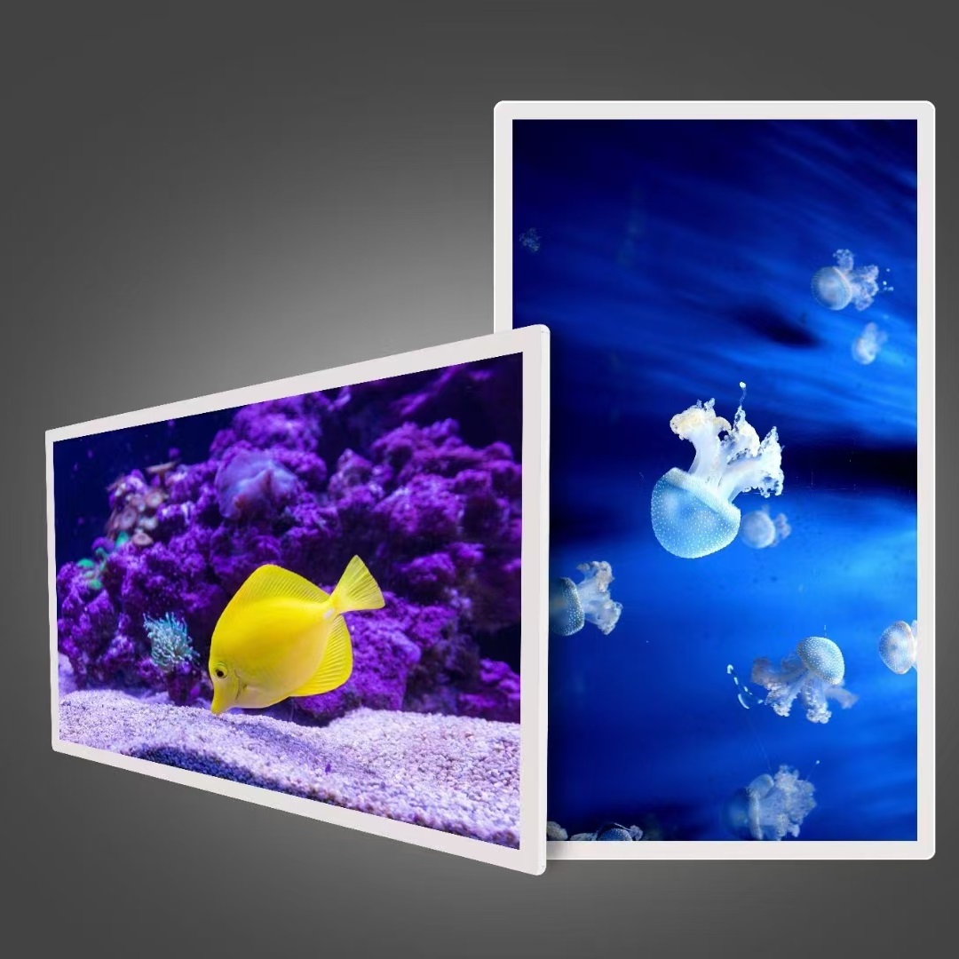 ξ ڒVC Nʽ@ʾ й h̰l