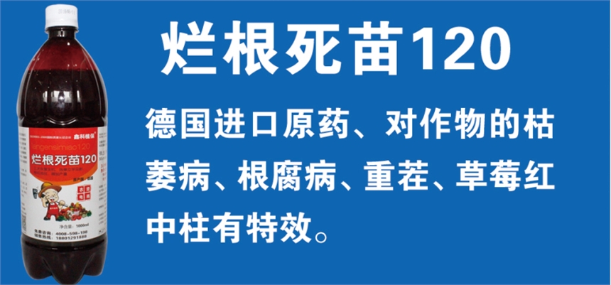 زήܹϣS~οֲ120