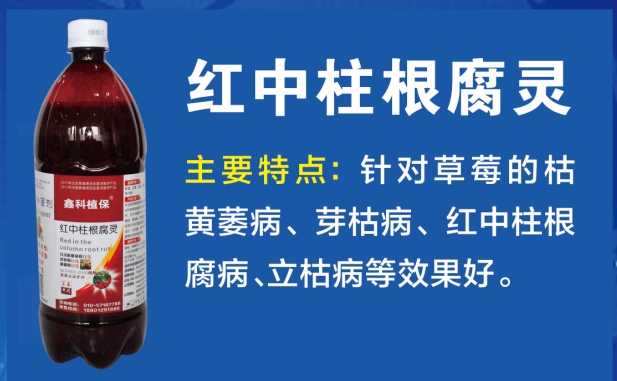 ݮt̿ҲSήѿݲοֲ`