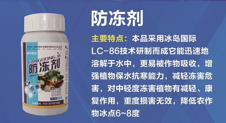 ܣĵݮѣ㽶}οֲֲ