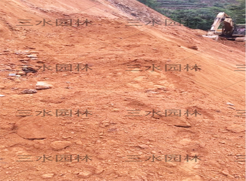 ꖼt߶߅¾Gʲôѱ^