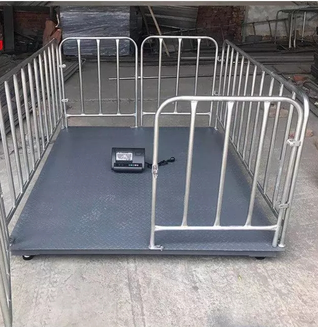 ӵذ1-3ذQСذӷQiţذ