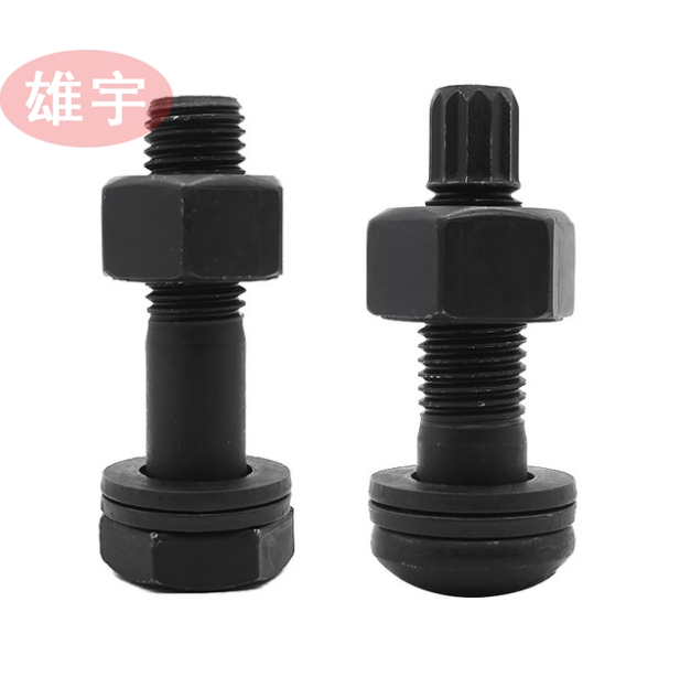 SֱN䓽Y˨  10.9˨ o˨