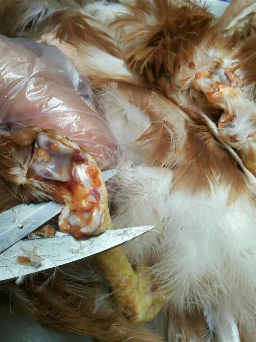 u[P[װYPзeҺװYuҺ֧ԭw