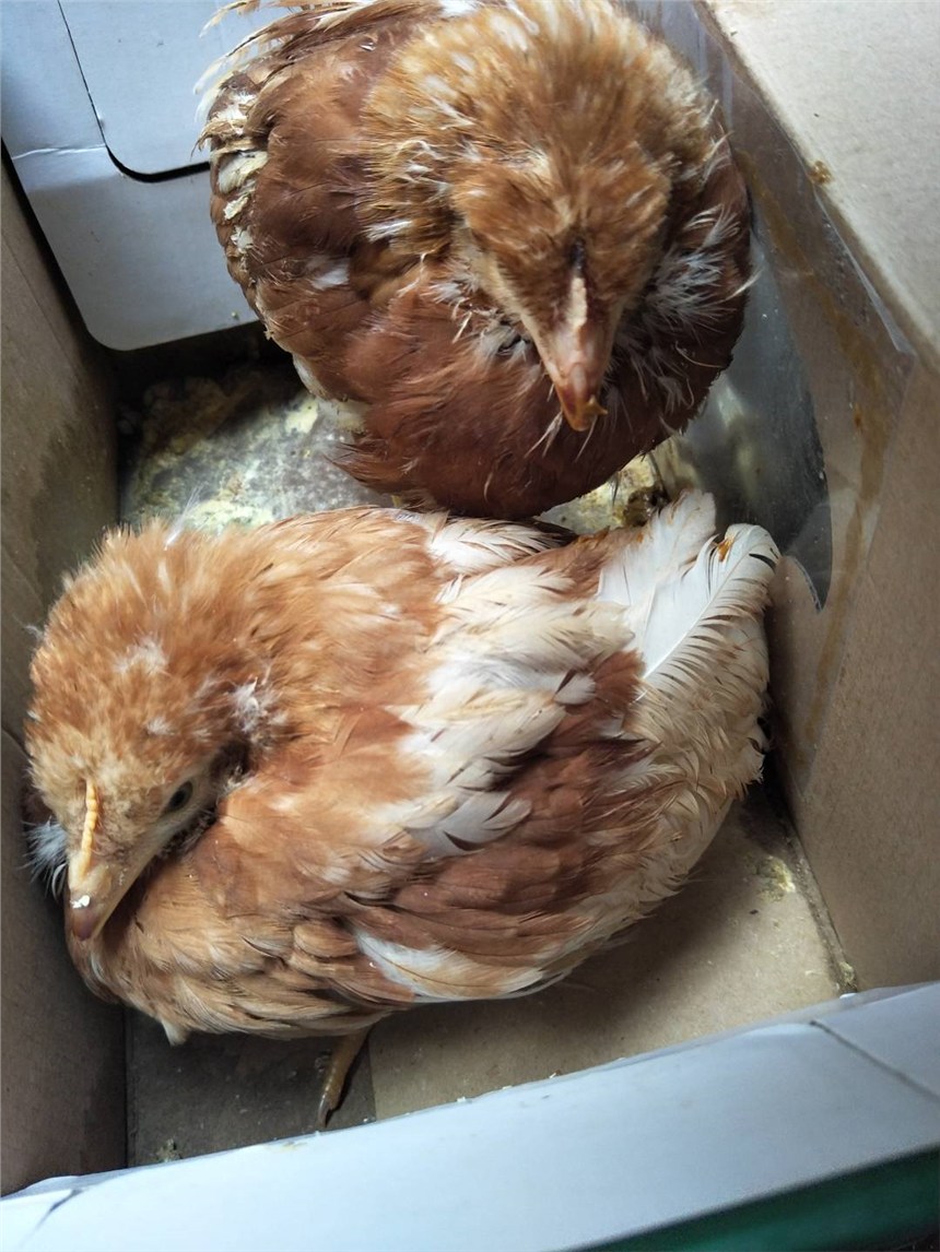 ʮułõuҺ֧ԭwʹ֧ܸ҃㶨