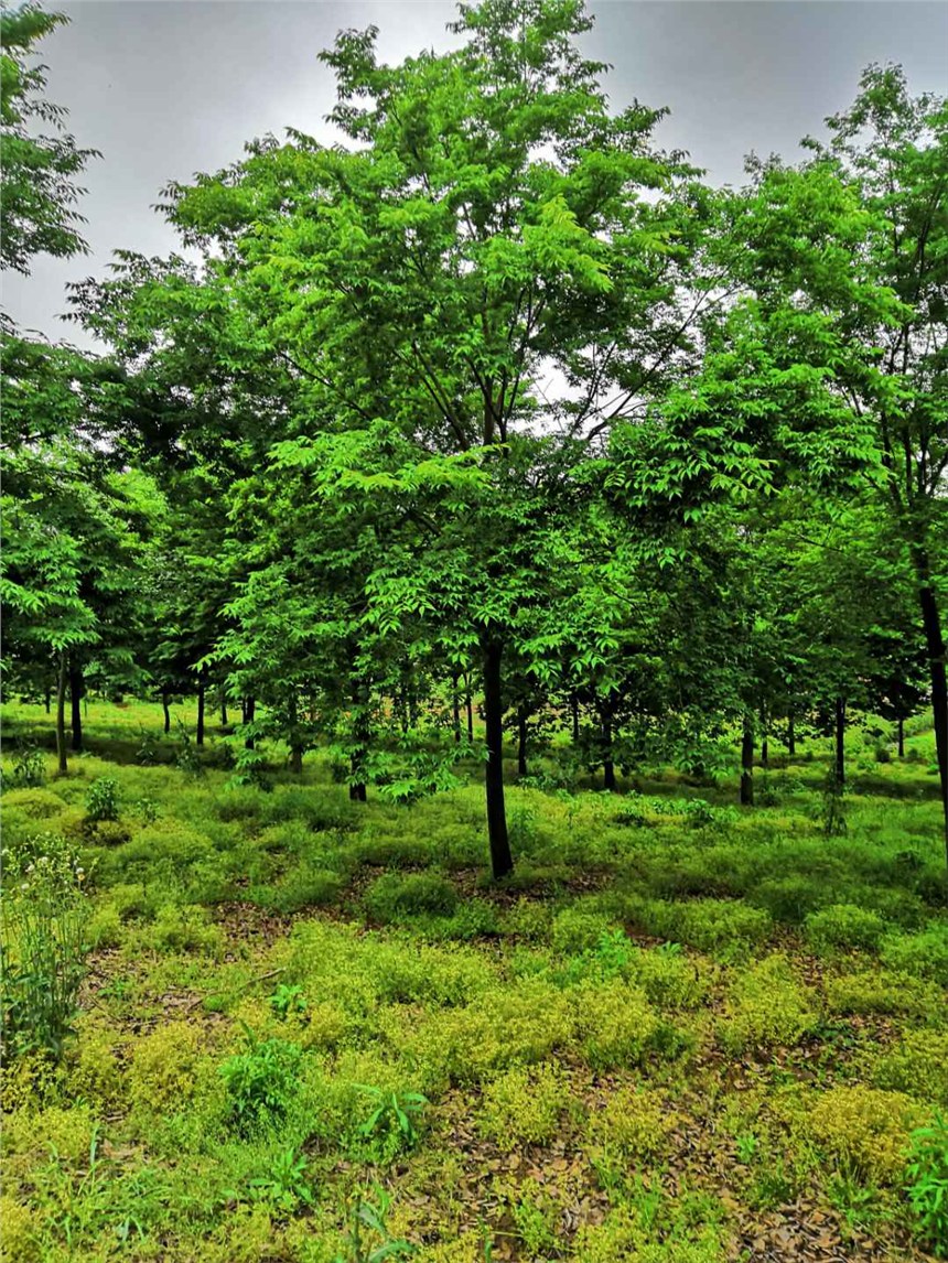 20֙Θr_6-30֙Θr_ƷΘ