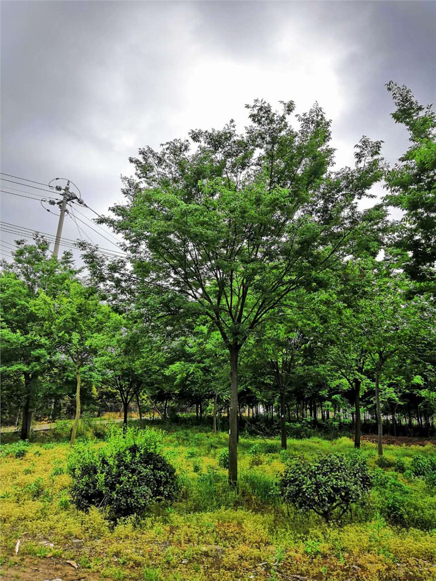 20֙Θr_6-30֙Θr_ƷΘ