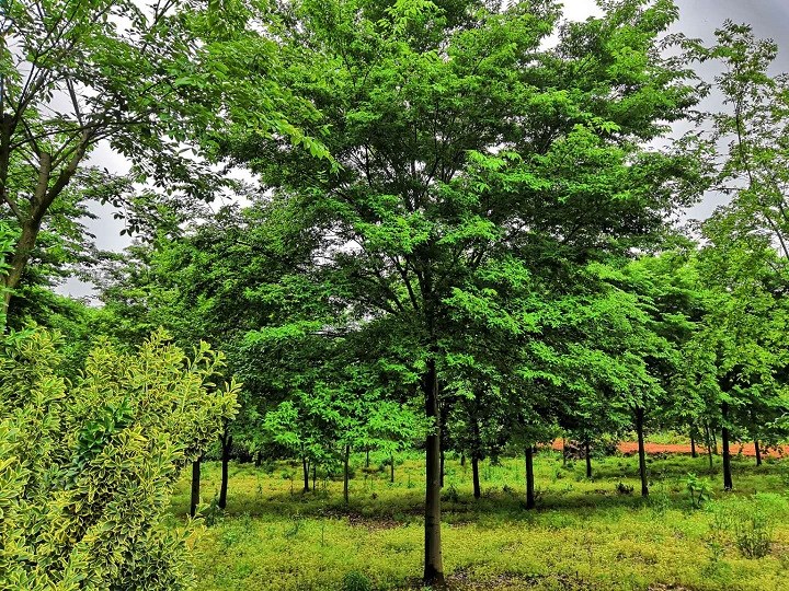 F16֙Θr_Ʒ3-30ֽΘr_ݙΘ