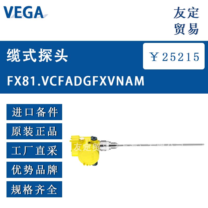 VEGA |ʽ̽^ hr