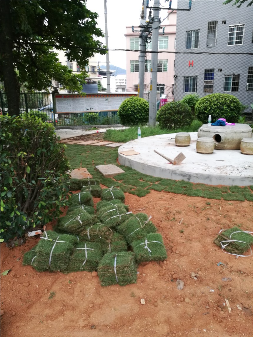 VlNۺͷNƺƤr񌍻ݣ؛T