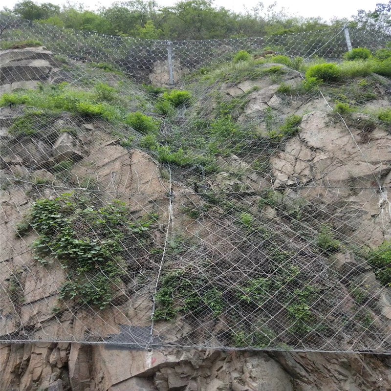 oɽþW_oɽWS_߅oɽWS