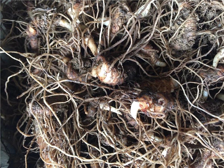 ؘ/ҰAؘ/ؘ/ؘǻ/ؘǷNֲ/|ؘ/ݽzؘ