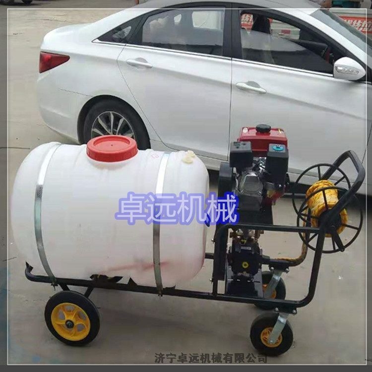 ɽ| ˎC ƄrôˎC LˎܴˎC