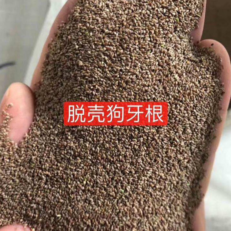 VόNӲƺƤðĽ߅¾GòݷNl