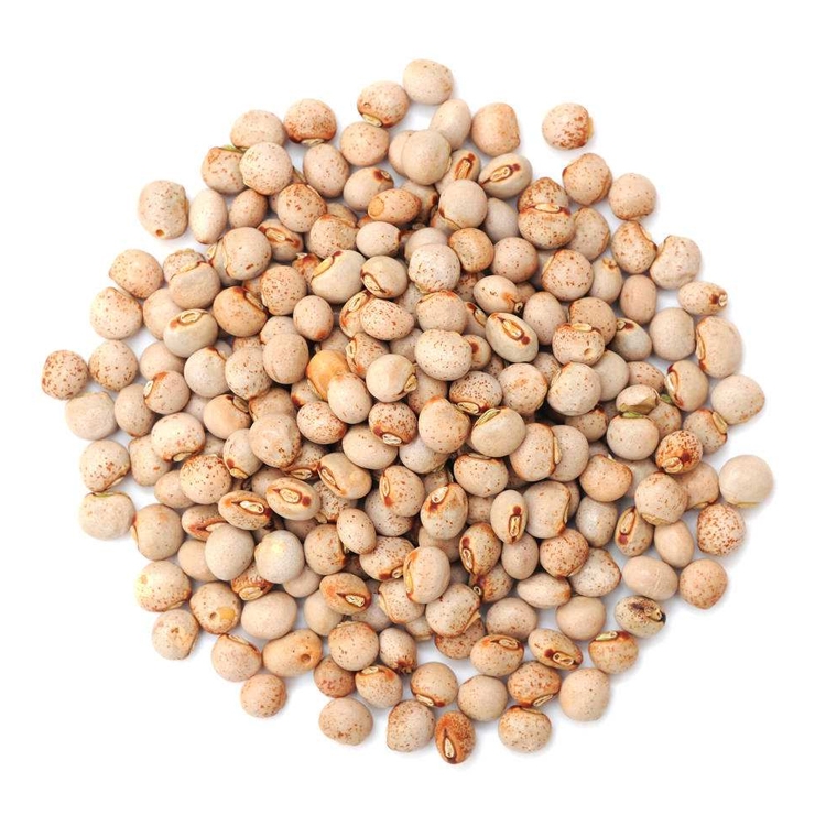 VľNӃr o;GùľNlнӵVɽޏ;Ġֲ