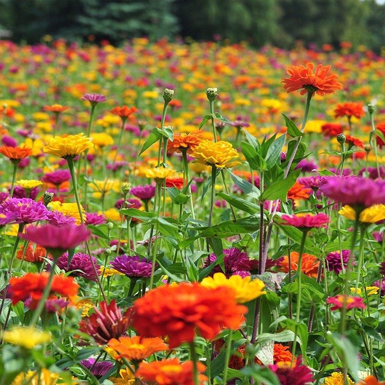 VόղݷNӃr 컨ܻNðվճнӸN߅¾G