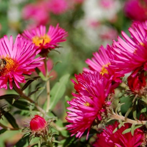 VշNӃr 컨ܳöNlнӸN߅¾G