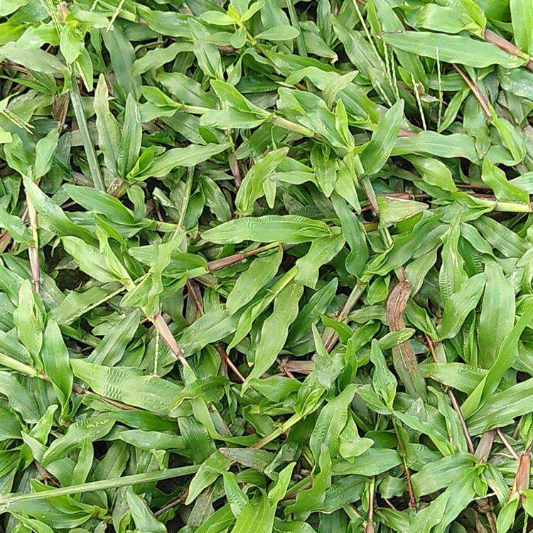 ~ͲݲƺļLͲ̤@ͥԺС^G޼̺ݲƤֱl